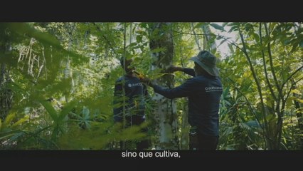 Ancon celebra 40 años de fundación y lanza campaña la "Naturaleza se vive"