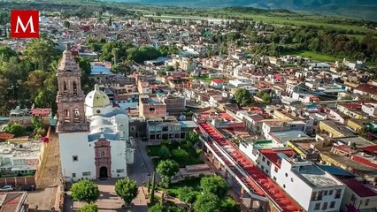 Denuncian casos de tortura y abuso contra animales; activistas exigen justicia