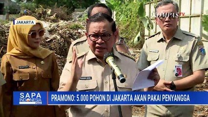 Pasca Insiden Pohon Tumbang di Pondok Indah, Pemprov DKI Akan Pasang Penyangga dan Tebang Pohon Tua