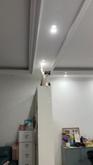 Walked out of the bathroom and saw THIS 😭💀