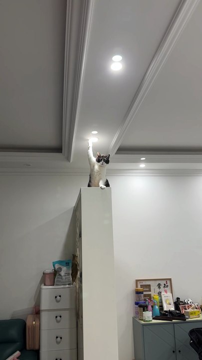 Walked out of the bathroom and saw THIS 😭💀