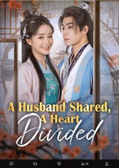 A Husband Shared A Heart Divided Chinese Drama - English Sub