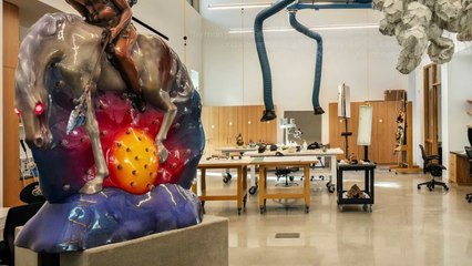 38 Houston Museum of Fine Arts, USA