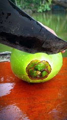 I Cut Naturally Fresh Green Coconut — Fruit Cutting Skills
