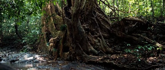 Greystoke The Legend of Tarzan Lord of the Apes (1984) Full Movie HD