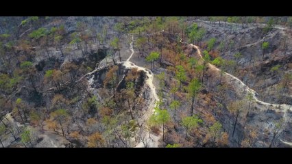 Great Beyond Episode 12