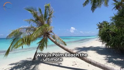 Experience the Best Kneeboarding Fun in Palm Beach, Aruba