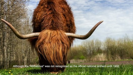 24 National Anthem of Netherlands