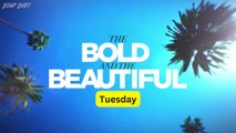 Bold and the Beautiful 2-Week Spoilers Oct 27- Nov 7_ Hope Says Yes & Sheila Spi