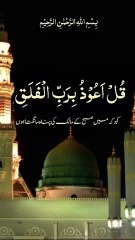 surah Al falak || 1 million followers #islamicknowledge #ajmalrazaqadri #molanatariqjameel #jashaneidmiladnabi #unfrezzmyaccount #quran #madina #trending #islamic #islam #muslim #viral #1millionviews #capcut