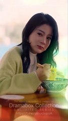 Fragments Of Her Final Goodbye full short drama