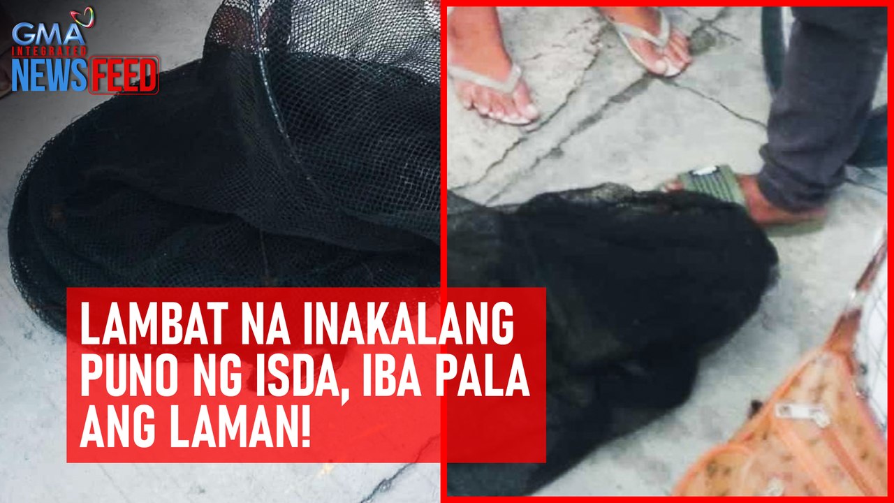 Lambat na inakalang puno ng isda, iba pala ang laman! | GMA Integrated Newsfeed