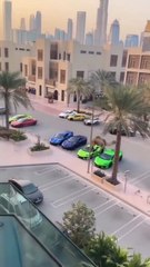 Camel Destroys Luxury Cars in Dubai Desert | Viral Video