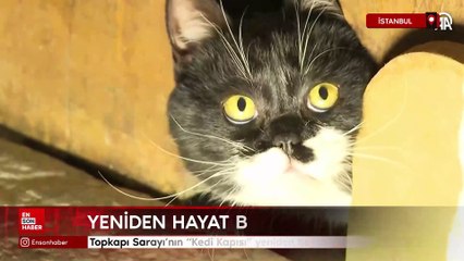 Topkapı Sarayı’nın “Kedi Kapısı” yeniden hayat buldu