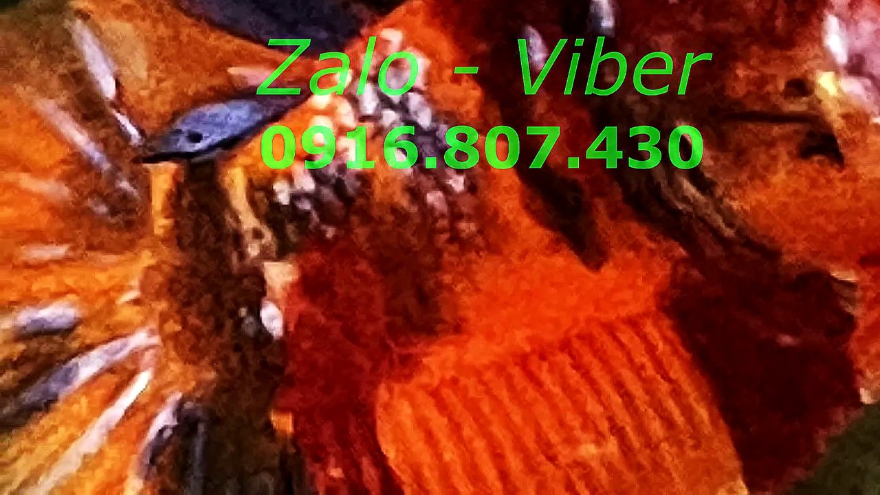 Mux251012102702