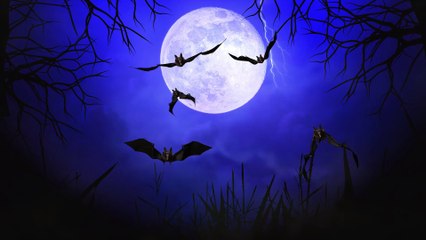 Halloween 2025 | Spooky Bats Flying in the Dark | Halloween Background Video for 30 Mins