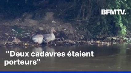 Grippe aviaire: le niveau de risque considéré "élevé" après la découverte de plusieurs foyers