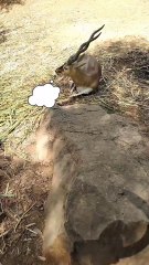 Do you also post selfies for likes?