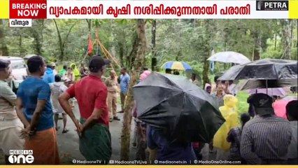 വിതുരയിൽ കാട്ടാനശല്യം രൂക്ഷം; പ്രതിഷേധവുമായി നാട്ടുകാർ