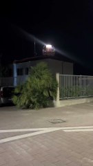 الخرجة مع الحباب