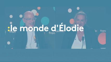 Bernard Werber résout une enquête à l'aide d'un chêne millénaire : "J'explique une vision de la nature"