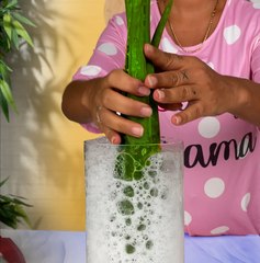 Sweet and spicy aloe vera ice cream ready to eat! 🌱