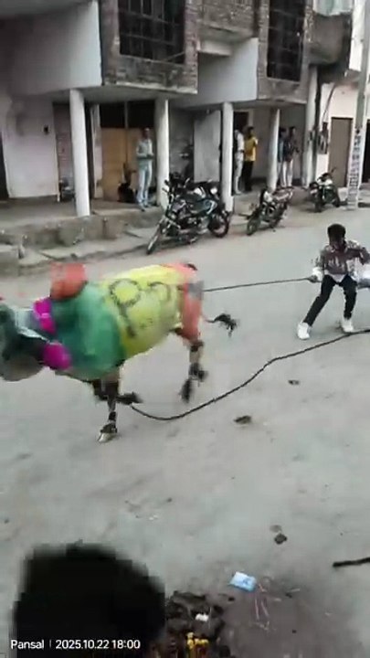 23078