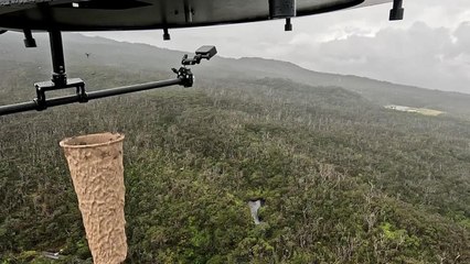 Why Drones Are Releasing Thousands of Mosquitoes Over Hawaii’s Islands