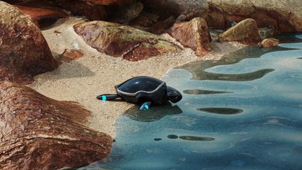 From Pools to the Ocean: Company Designs Robot Turtle for Aquatic Exploration