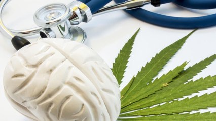 Could Cannabis Use Raise Dementia Risk? Hospital Data Suggests a Possible Connection