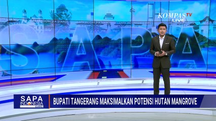 Bupati Tangerang Manfaatkan Hutan Mangrove Ketapang untuk Tingkatkan Ekonomi Masyarakat | SAPA SIANG