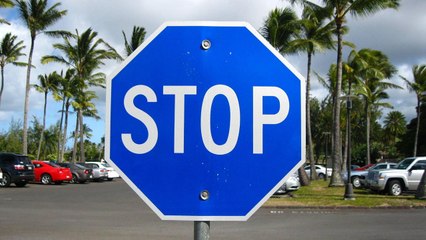 What Does a Blue Stop Sign Mean? 🚦