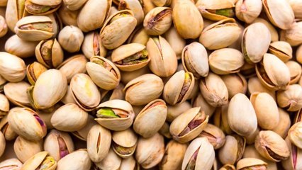 Can You Grow a Pistachio Tree from Store-Bought Nuts? Here’s How