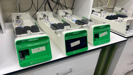 In A World First, Scientists Create Computer That Runs On Living Human Brain Cells