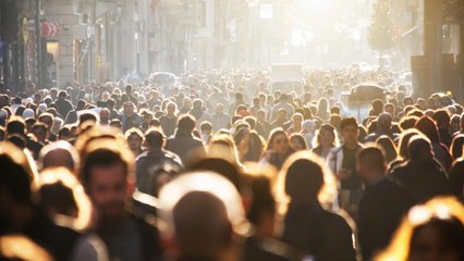 Could AI Cause a Major Population Decline by 2300? Expert Warns of the Possibility 🤖