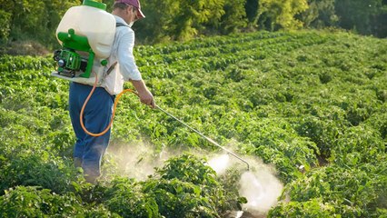 Researchers Find Possible Prostate Cancer Link to 22 Pesticides