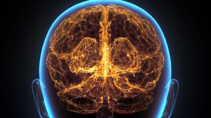 Study Confirms Adults Can Grow New Brain Cells, and They Found the Source