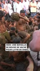 Inde: une bataille de bouse de vache pour la fin de Diwali