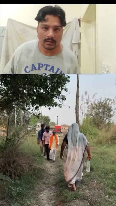 What was the need to honk the horn? The funniest video of Babe