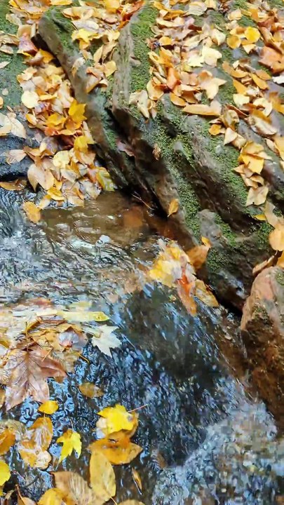 fall hike