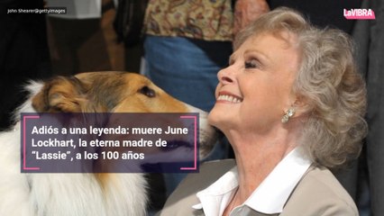 Adiós a una leyenda: muere June Lockhart, la eterna madre de “Lassie”, a los 100 años