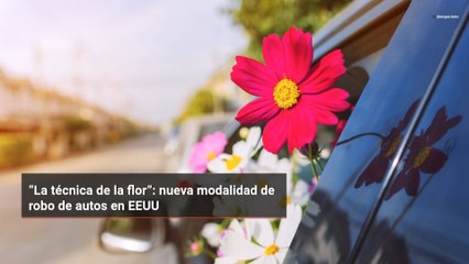 “La técnica de la flor”: nueva modalidad de robo de autos en EEUU