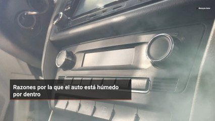 Razones por la que el auto está húmedo por dentro