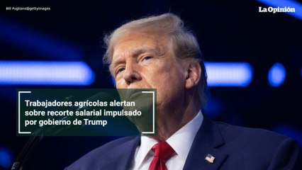 Trabajadores agrícolas alertan sobre recorte salarial impulsado por gobierno de Trump