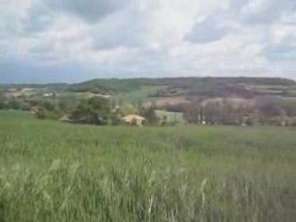 Frères d'armes
