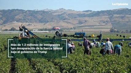 Más de 1.2 millones de inmigrantes han desaparecido de la fuerza laboral bajo el gobierno de Trump
