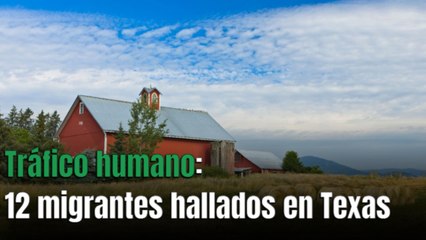 Descubren a indocumentados ocultos en pacas de heno en Houston: tres detenidos por tráfico humano