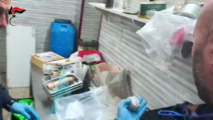 Catania, i Lupi dei Carabinieri scovano arma clandestina e sostanze stupefacenti