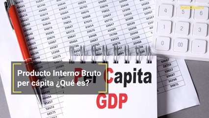Producto Interno Bruto per cápita ¿Qué es?