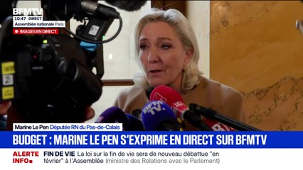 "Zucman, non, ni light, ni hard": pour Marine Le Pen, la taxe Zucman "n'est pas allégée mais aggravée"
